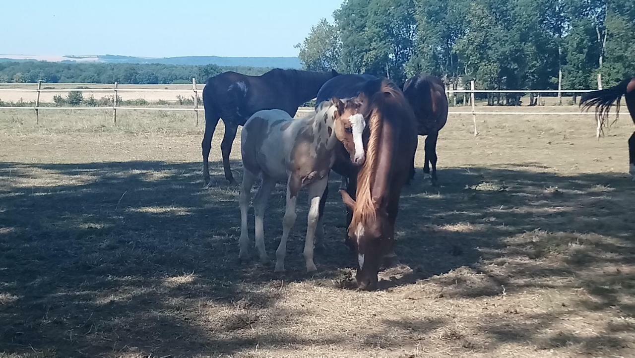 Jad Ranch Ξενοδοχείο Raucourt-et-Flaba Εξωτερικό φωτογραφία